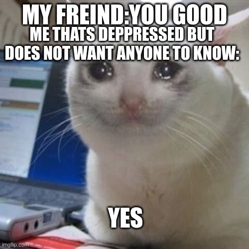 Crying cat | ME THATS DEPPRESSED BUT DOES NOT WANT ANYONE TO KNOW:; MY FREIND:YOU GOOD; YES | image tagged in crying cat | made w/ Imgflip meme maker