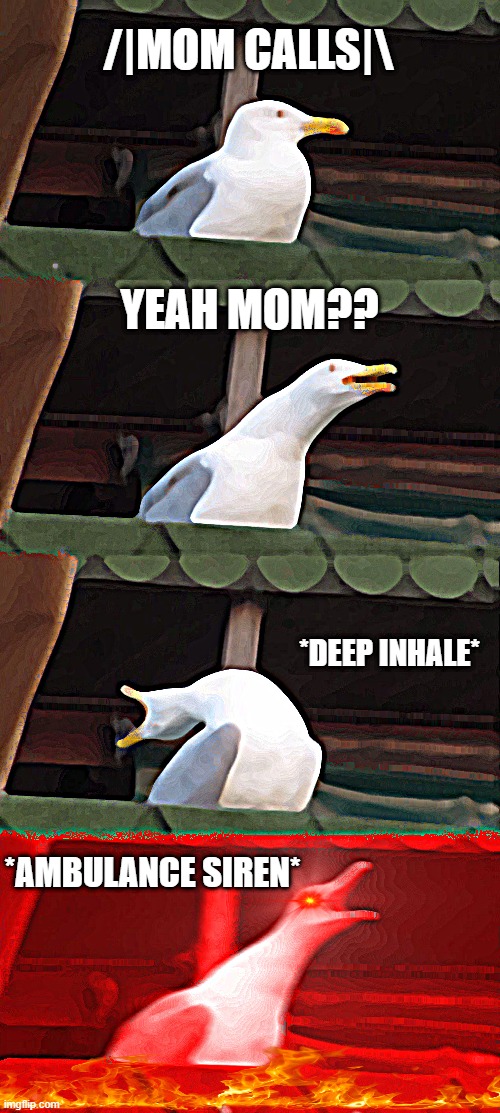 Inhaling Seagull | /|MOM CALLS|\; YEAH MOM?? *DEEP INHALE*; *AMBULANCE SIREN* | image tagged in memes,inhaling seagull | made w/ Imgflip meme maker