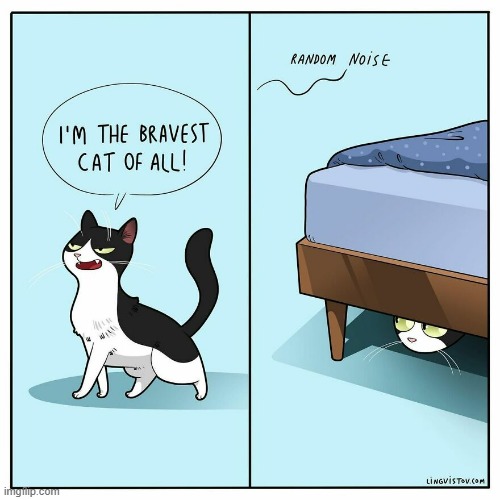 A Cat's Way Of Thinking | image tagged in memes,comics,cats,brave,noise,hide | made w/ Imgflip meme maker