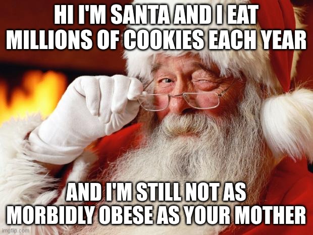 santa | HI I'M SANTA AND I EAT MILLIONS OF COOKIES EACH YEAR; AND I'M STILL NOT AS MORBIDLY OBESE AS YOUR MOTHER | image tagged in santa | made w/ Imgflip meme maker