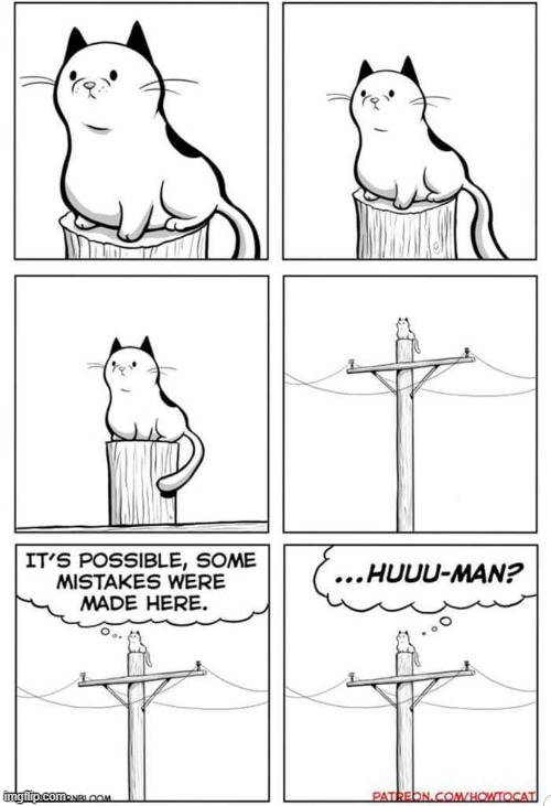 image tagged in memes,comics,cats,telephone,pole,mistakes | made w/ Imgflip meme maker