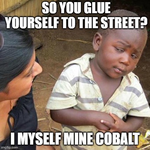 Little cobolt miner vs street gluer | SO YOU GLUE YOURSELF TO THE STREET? I MYSELF MINE COBALT | image tagged in memes,third world skeptical kid | made w/ Imgflip meme maker