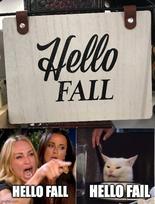HELLO FAIL; HELLO FALL | image tagged in argue,woman yelling at cat | made w/ Imgflip meme maker