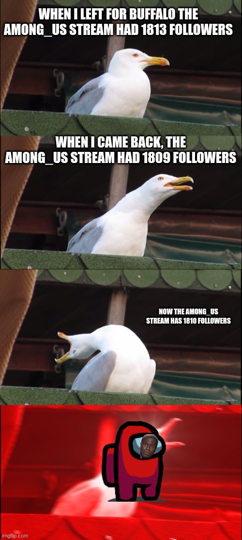It was 1809 when I found it | WHEN I LEFT FOR BUFFALO THE AMONG_US STREAM HAD 1813 FOLLOWERS; WHEN I CAME BACK, THE AMONG_US STREAM HAD 1809 FOLLOWERS; NOW THE AMONG_US STREAM HAS 1810 FOLLOWERS | image tagged in memes,inhaling seagull,among us | made w/ Imgflip meme maker