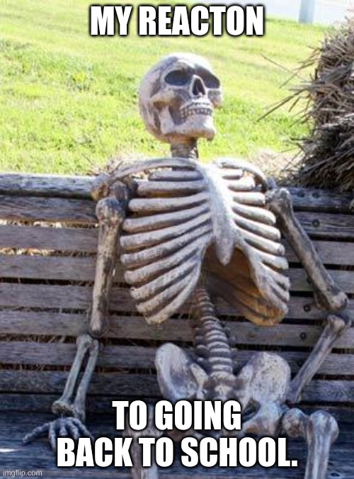 my reacton to me going back to school. | MY REACTON; TO GOING BACK TO SCHOOL. | image tagged in memes,waiting skeleton | made w/ Imgflip meme maker