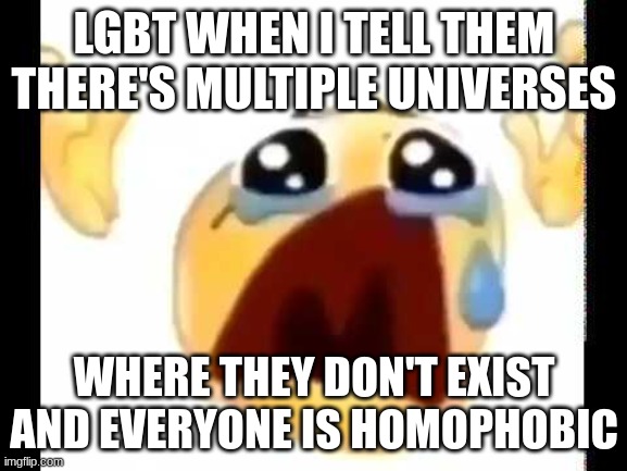 cursed crying emoji | LGBT WHEN I TELL THEM THERE'S MULTIPLE UNIVERSES; WHERE THEY DON'T EXIST AND EVERYONE IS HOMOPHOBIC | image tagged in cursed crying emoji | made w/ Imgflip meme maker