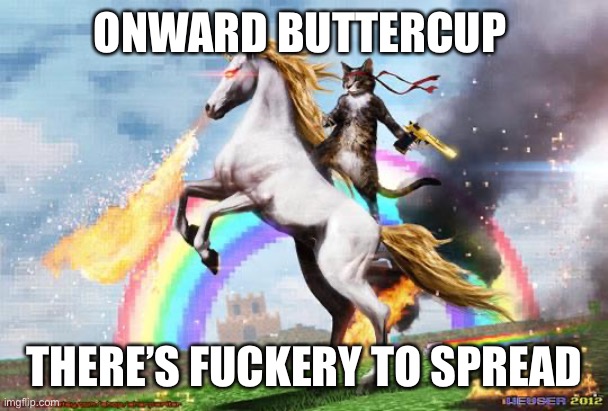 Onwards Buttercup | ONWARD BUTTERCUP; THERE’S FUCKERY TO SPREAD | image tagged in onwards buttercup | made w/ Imgflip meme maker