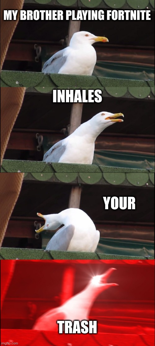 Inhaling Seagull Meme | MY BROTHER PLAYING FORTNITE; INHALES; YOUR; TRASH | image tagged in memes,inhaling seagull | made w/ Imgflip meme maker