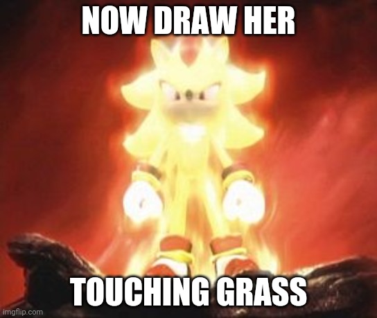 Super Shadow | NOW DRAW HER; TOUCHING GRASS | image tagged in super shadow | made w/ Imgflip meme maker