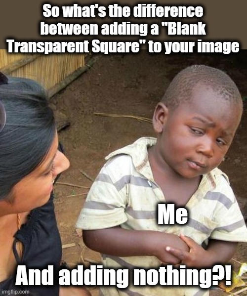 Inquiring minds want to know! | So what's the difference between adding a "Blank Transparent Square" to your image; Me; And adding nothing?! | image tagged in memes,third world skeptical kid,blank transparent square,imgflip,nothing | made w/ Imgflip meme maker
