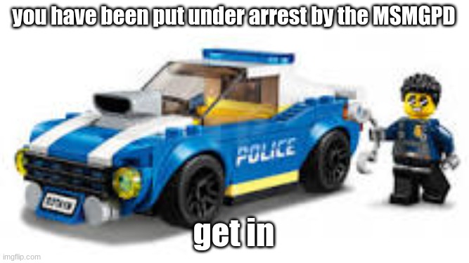 arrest | you have been put under arrest by the MSMGPD; get in | image tagged in arrest | made w/ Imgflip meme maker