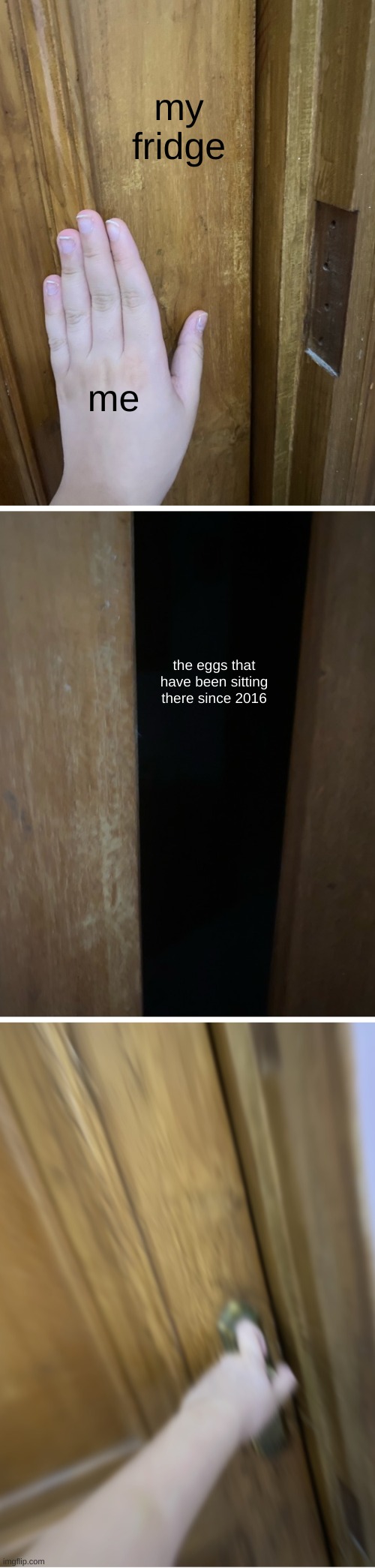 ha... | my fridge; me; the eggs that have been sitting there since 2016 | image tagged in need food but dark hallway,memes | made w/ Imgflip meme maker