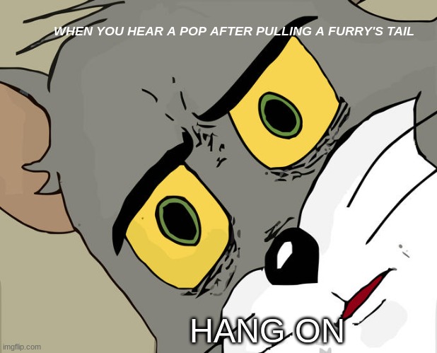 Unsettled Tom Meme | WHEN YOU HEAR A POP AFTER PULLING A FURRY'S TAIL; HANG ON | image tagged in memes,unsettled tom | made w/ Imgflip meme maker