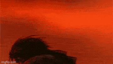 76bo8f.gif