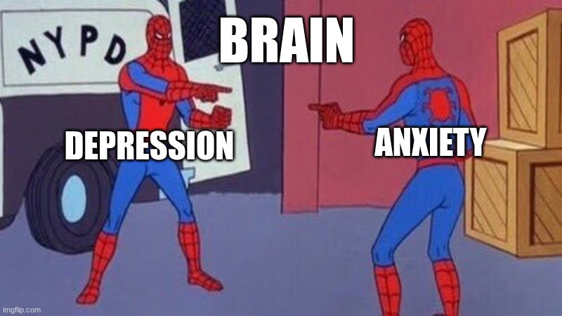 spiderman pointing at spiderman | BRAIN; ANXIETY; DEPRESSION | image tagged in spiderman pointing at spiderman | made w/ Imgflip meme maker