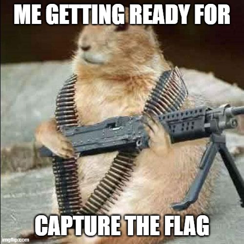 mean squirel | ME GETTING READY FOR; CAPTURE THE FLAG | image tagged in mean squirel | made w/ Imgflip meme maker