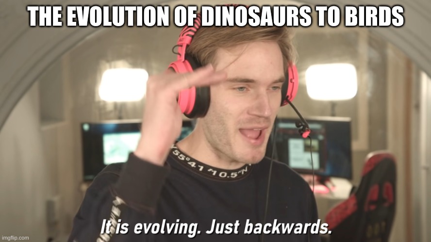 i did this before in a meme game | THE EVOLUTION OF DINOSAURS TO BIRDS | image tagged in its evolving just backwards | made w/ Imgflip meme maker