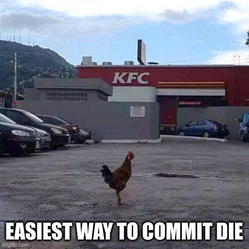 QUICK WAY TO COMMIT SUICIDE | EASIEST WAY TO COMMIT DIE | image tagged in quick way to commit suicide | made w/ Imgflip meme maker