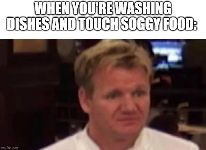 Disgusted Gordon Ramsay | WHEN YOU'RE WASHING DISHES AND TOUCH SOGGY FOOD: | image tagged in disgusted gordon ramsay,food,dirty dishes,dishes,disgusting | made w/ Imgflip meme maker