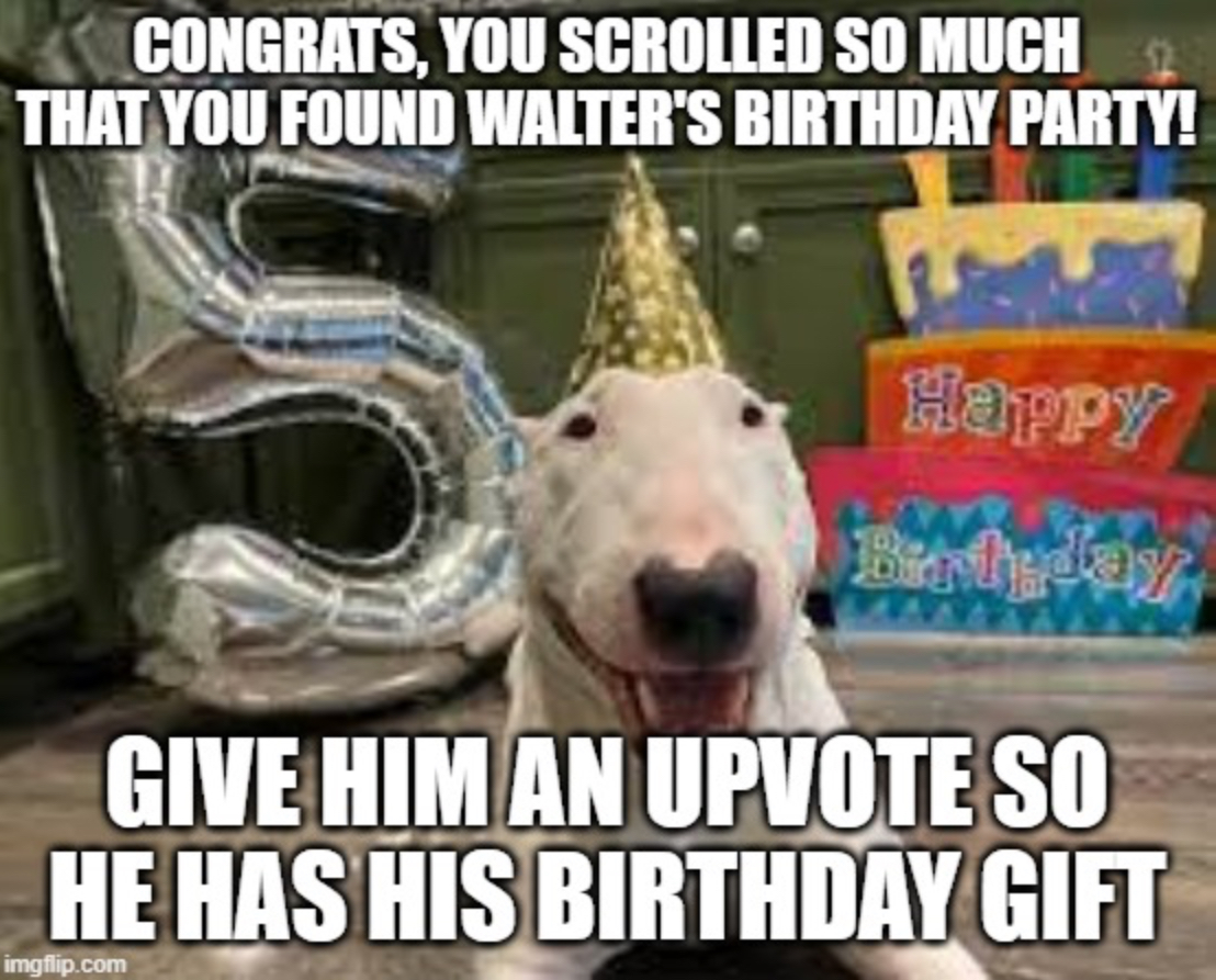 Walter birthday party Blank Meme Template