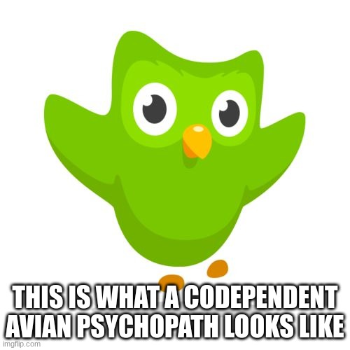 Life's Greatest Role Model | THIS IS WHAT A CODEPENDENT AVIAN PSYCHOPATH LOOKS LIKE | image tagged in things duolingo teaches you,duolingo,duolingo bird,codependent | made w/ Imgflip meme maker