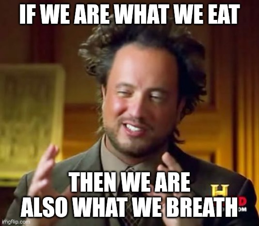 e- | IF WE ARE WHAT WE EAT; THEN WE ARE ALSO WHAT WE BREATH | image tagged in memes,ancient aliens | made w/ Imgflip meme maker