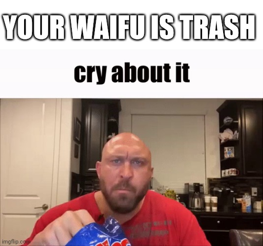Pov, you and another weeb gets into a fight: | YOUR WAIFU IS TRASH | image tagged in cry about it | made w/ Imgflip meme maker