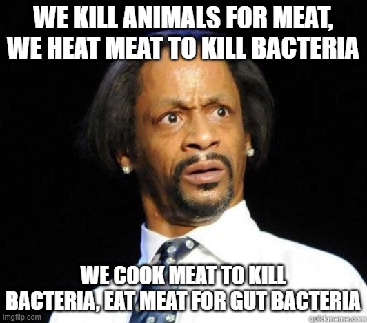 meat |  WE KILL ANIMALS FOR MEAT, WE HEAT MEAT TO KILL BACTERIA; WE COOK MEAT TO KILL BACTERIA, EAT MEAT FOR GUT BACTERIA | image tagged in katt williams wtf meme,meat,vegan,kill | made w/ Imgflip meme maker