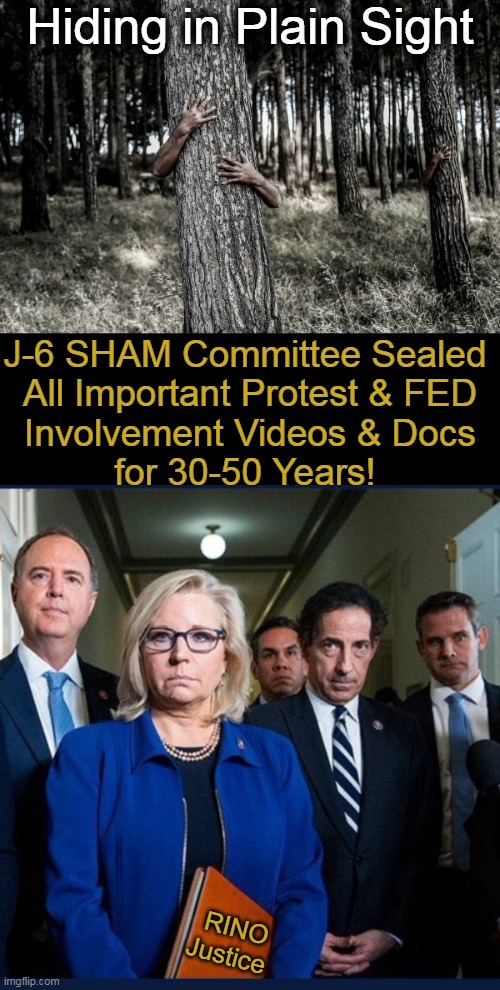 Hidden in a One-Way Trip to The National Archives | Hiding in Plain Sight; J-6 SHAM Committee Sealed 
All Important Protest & FED
Involvement Videos & Docs
for 30-50 Years! RINO 
Justice | image tagged in politics,sham 18 month political witch hunt,liz cheney,rino,shameless,orchestrated | made w/ Imgflip meme maker