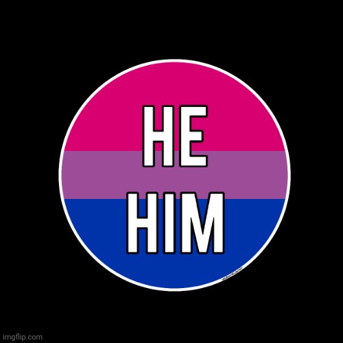 I am a bisexual he/him | image tagged in he/him bisexual pin | made w/ Imgflip meme maker