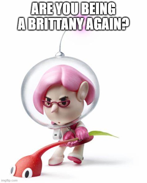 are you being a brittany again? | ARE YOU BEING A BRITTANY AGAIN? | image tagged in pikmin,brittany,memes,funny | made w/ Imgflip meme maker