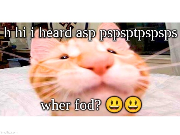 when feod | h hi i heard asp pspsptpspsps; wher fod? 😃😃 | image tagged in funny | made w/ Imgflip meme maker