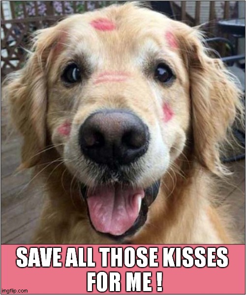 Oh, What It Is Too Be Loved ! | SAVE ALL THOSE KISSES 
FOR ME ! | image tagged in dogs,love,kisses | made w/ Imgflip meme maker