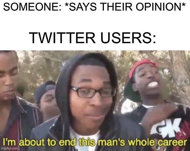 Opinions don't matter anymore | SOMEONE: *SAYS THEIR OPINION*; TWITTER USERS: | image tagged in i m about to end this man s whole career,twitter,memes,funny,funny memes,opinion | made w/ Imgflip meme maker