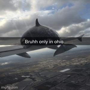 Dead meme | Bruhh only in ohio | made w/ Imgflip meme maker