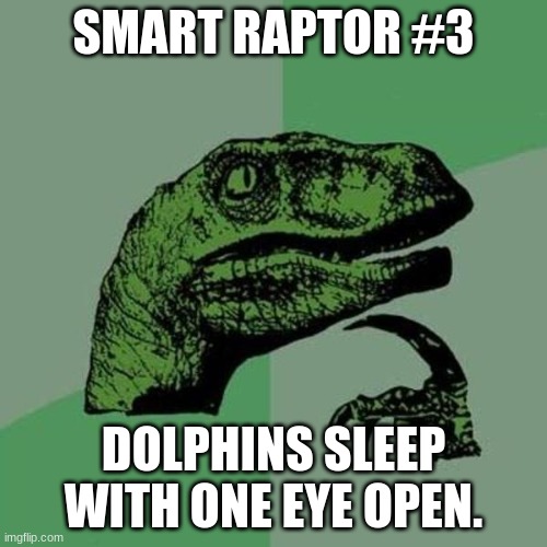 raptor | SMART RAPTOR #3; DOLPHINS SLEEP WITH ONE EYE OPEN. | image tagged in raptor | made w/ Imgflip meme maker