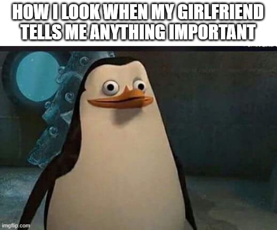 penguin face | HOW I LOOK WHEN MY GIRLFRIEND TELLS ME ANYTHING IMPORTANT | image tagged in madagascar penguin,penguins of madagascar,penguin,silly,funny | made w/ Imgflip meme maker