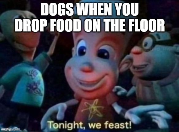 Tonight, we feast | DOGS WHEN YOU DROP FOOD ON THE FLOOR | image tagged in tonight we feast | made w/ Imgflip meme maker
