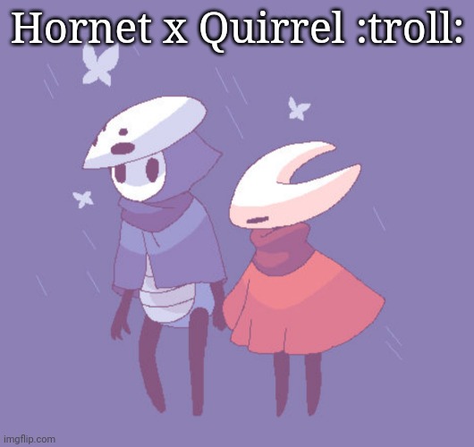 Hornet x Quirrel :troll: | made w/ Imgflip meme maker