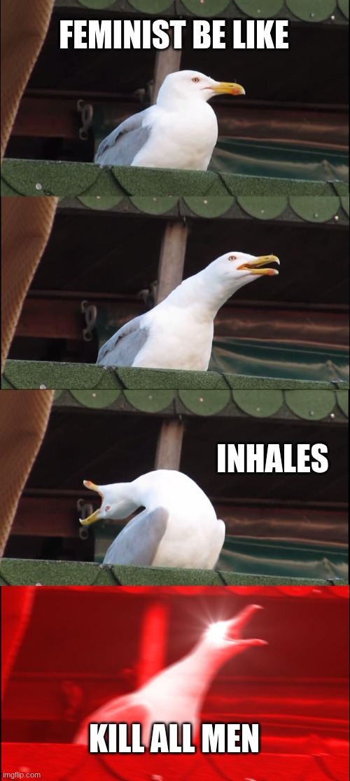 Inhaling Seagull Meme | FEMINIST BE LIKE; INHALES; KILL ALL MEN | image tagged in memes,inhaling seagull | made w/ Imgflip meme maker
