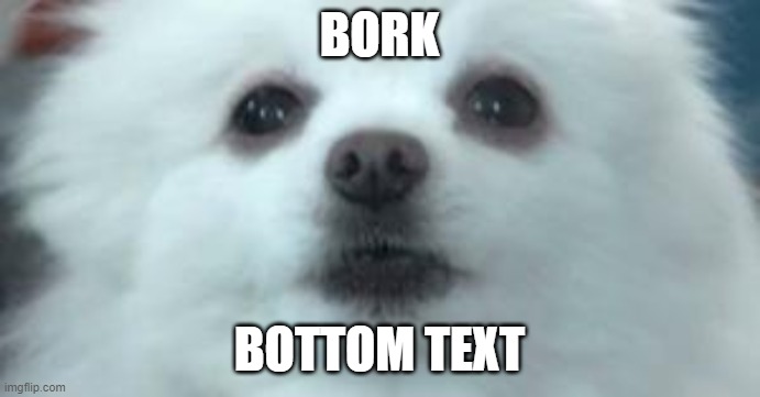 bork | BORK BOTTOM TEXT | image tagged in bork | made w/ Imgflip meme maker