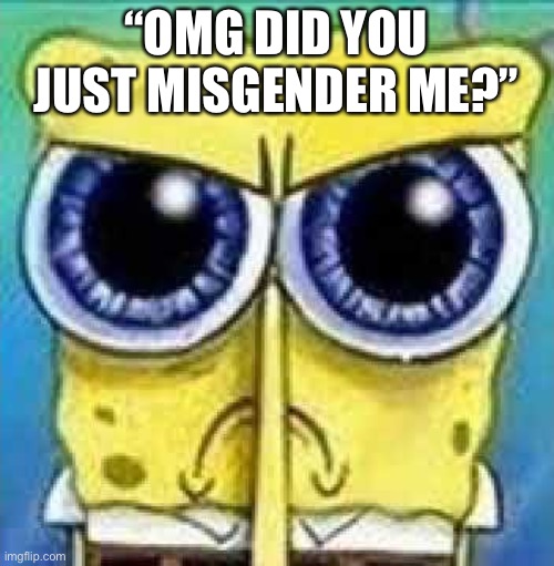 Angry Spunch Bop | “OMG DID YOU JUST MISGENDER ME?” | image tagged in angry spunch bop | made w/ Imgflip meme maker