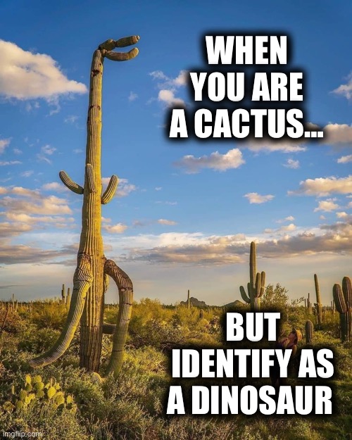 Cactus identifies as a Dinosaur, AKA federally protected prick! | WHEN YOU ARE A CACTUS…; BUT IDENTIFY AS A DINOSAUR | image tagged in cactus,dinosaur,identity | made w/ Imgflip meme maker