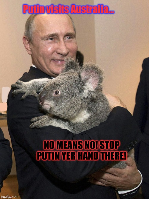 Ok that's it mister. I'm flaggin this for hate speech. | Putin visits Australia... NO MEANS NO! STOP PUTIN YER HAND THERE! | image tagged in cause i think,putin is a race,religion or national origin,stop it,stop it get some help | made w/ Imgflip meme maker