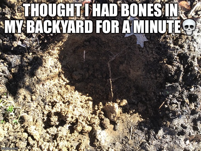 Calls the police* | THOUGHT I HAD BONES IN MY BACKYARD FOR A MINUTE💀 | image tagged in dead,bones | made w/ Imgflip meme maker