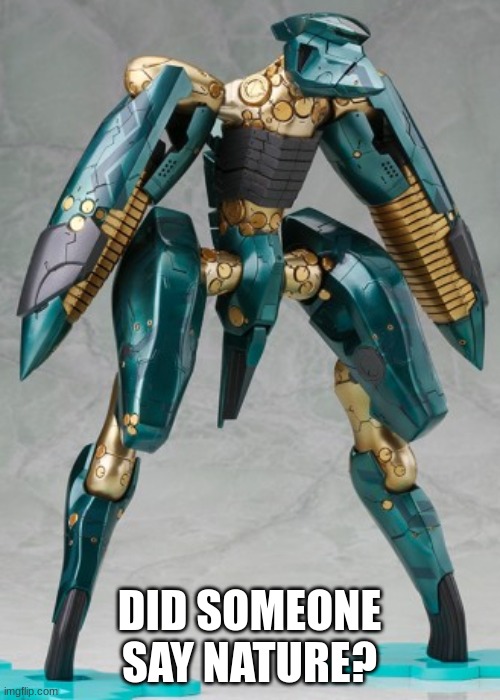 Standing Metal Gear RAY | DID SOMEONE SAY NATURE? | image tagged in standing metal gear ray | made w/ Imgflip meme maker