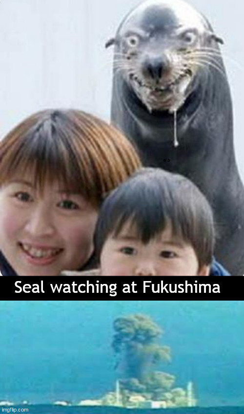 Pinnzilla | a b; Seal watching at Fukushima | image tagged in memes,dark humor | made w/ Imgflip meme maker