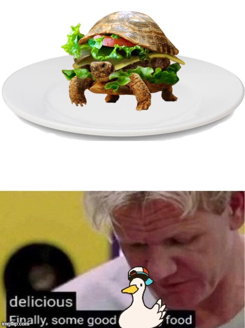 "Finally some good food" | image tagged in dinner plate,gordon ramsay some good food | made w/ Imgflip meme maker
