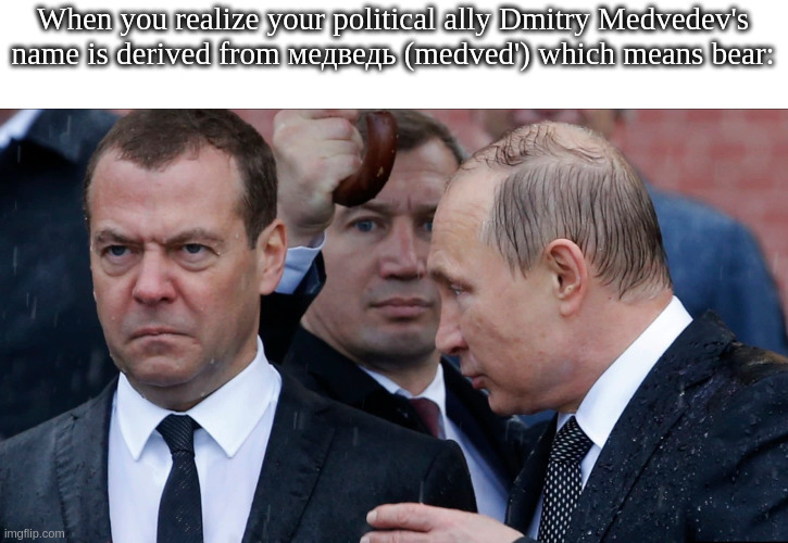 putin certified bear moment | When you realize your political ally Dmitry Medvedev's name is derived from медведь (medved') which means bear: | image tagged in come on you can,do better,than that | made w/ Imgflip meme maker