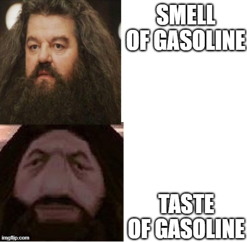 Don't ask me how I know | SMELL OF GASOLINE; TASTE OF GASOLINE | image tagged in hagrid comparison,memes | made w/ Imgflip meme maker